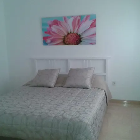 Apartment Confortable Piso En El Centro De Tenerife Santa Cruz de Tenerife